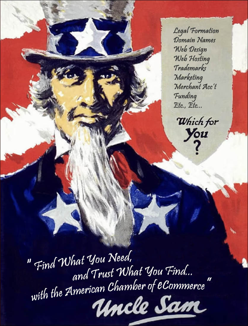 Uncle Sam: Raising the Flag for Independence Day 2023 - the American Chamber of eCommerce is Open